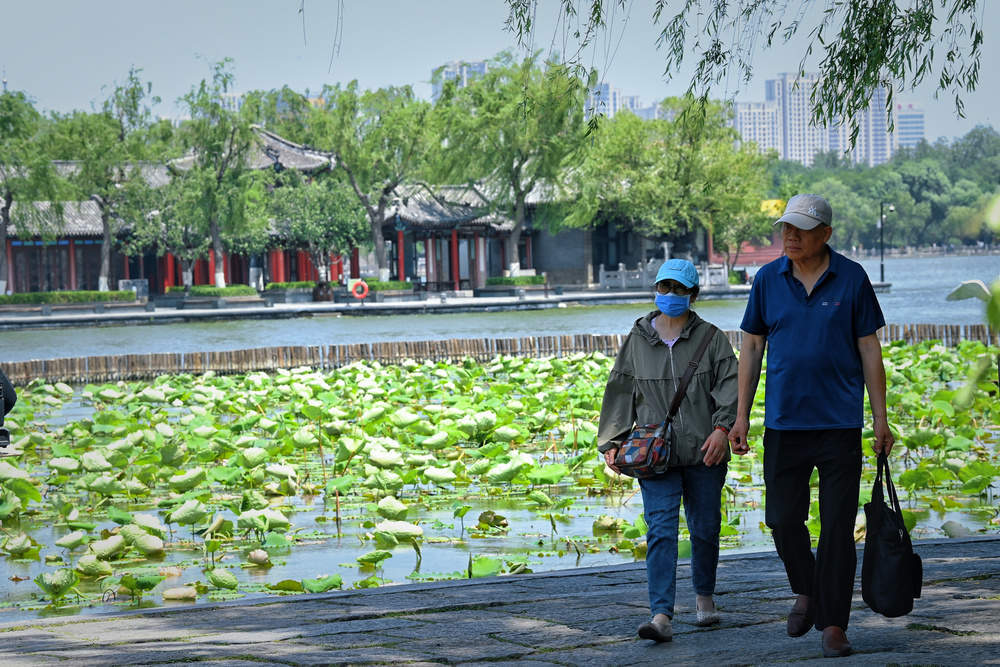 老城泉水显风韵 大明湖畔小荷露尖角