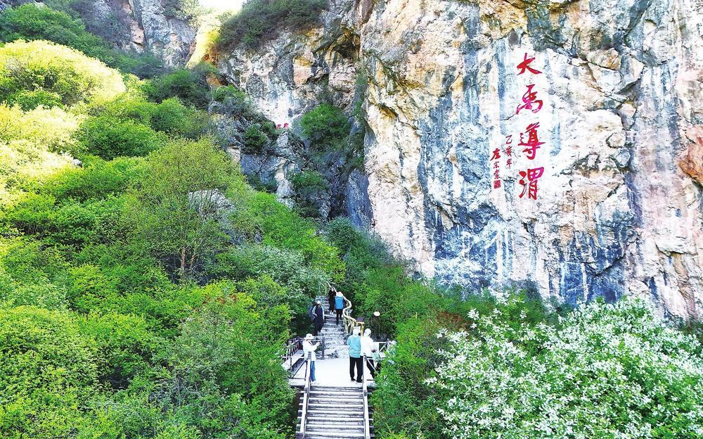 渭河源景区内，游客悠然漫步青山绿水间，邂逅飞瀑流泉的灵动景致。