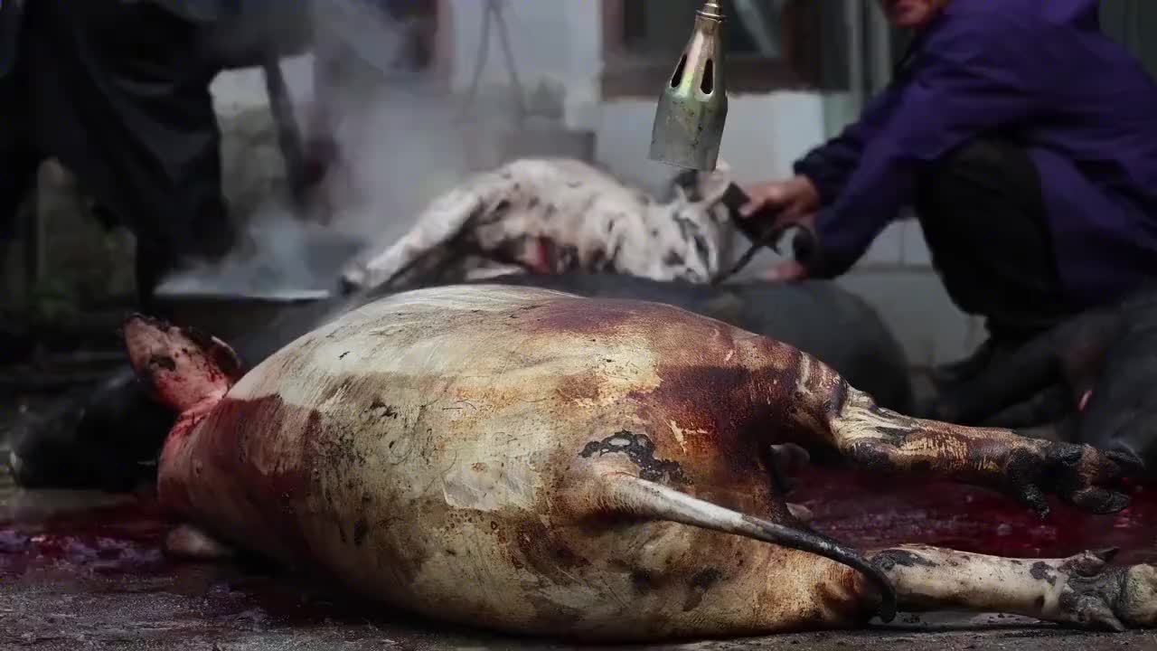 四川凉山，酒席遍地全是肉，必须现宰现做，这场面太奇葩