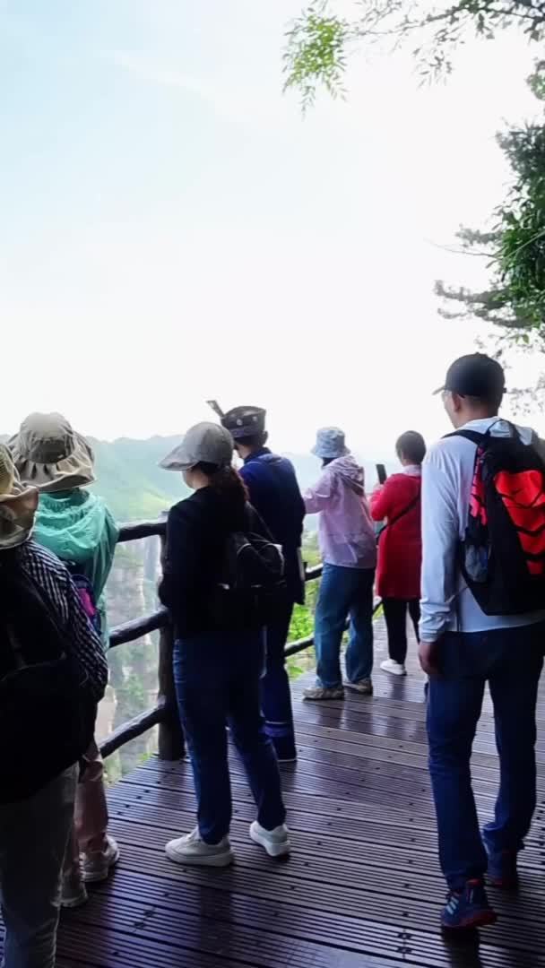 网红讲解员阿见带你看张家界独特的石英砂岩峰林地貌