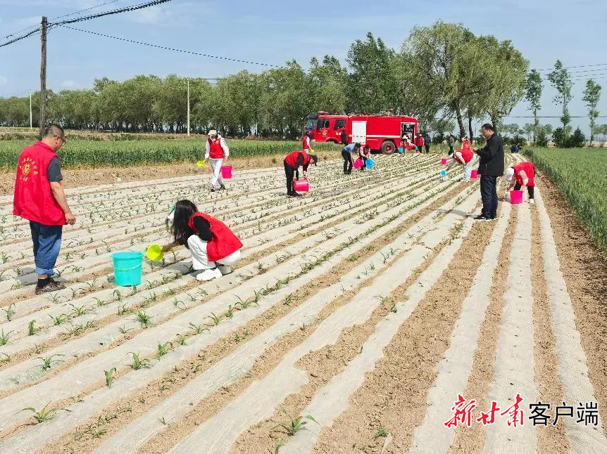 崇信县组织专业技术人员开展节水灌溉技术培训　崇信县水务局提供