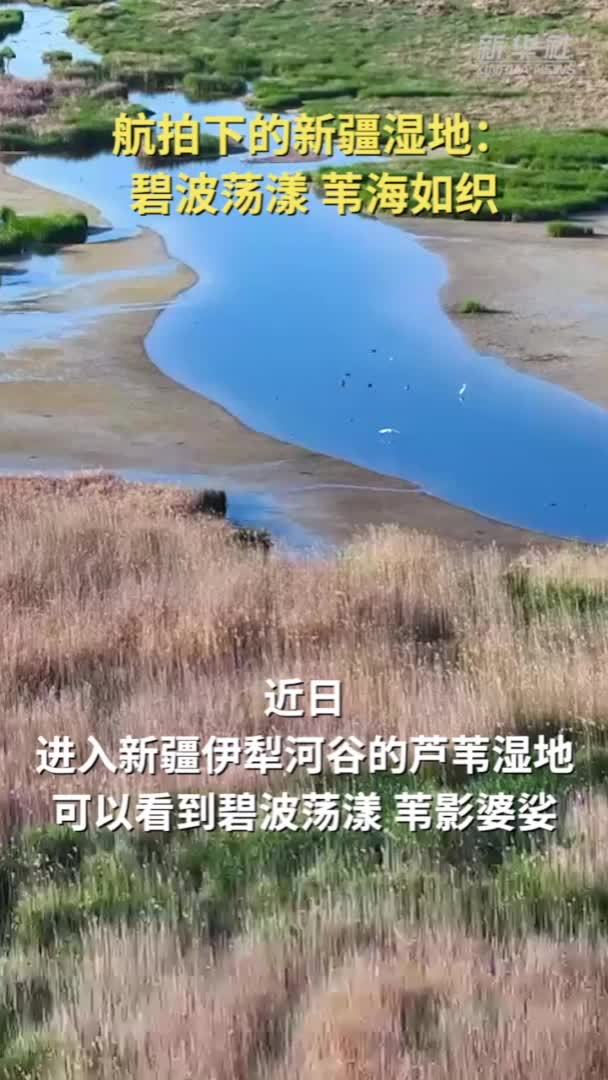 航拍下的新疆湿地：碧波荡漾 苇海如织