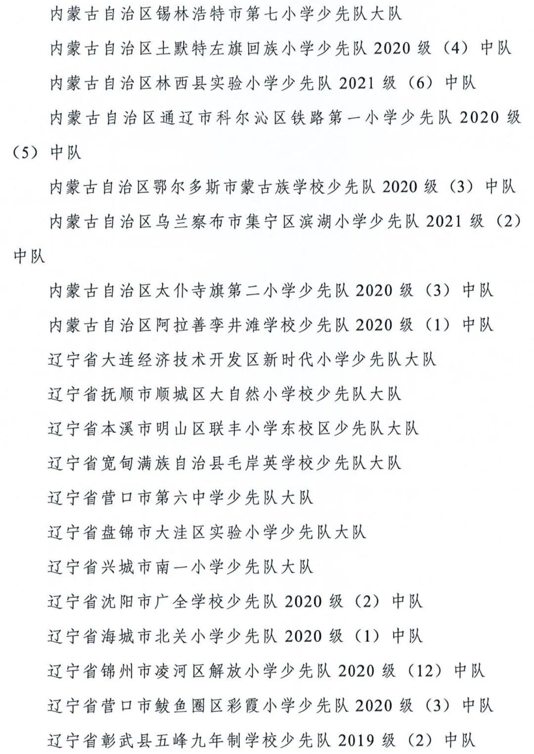 全国少先队“两优秀”表彰决定_33.png