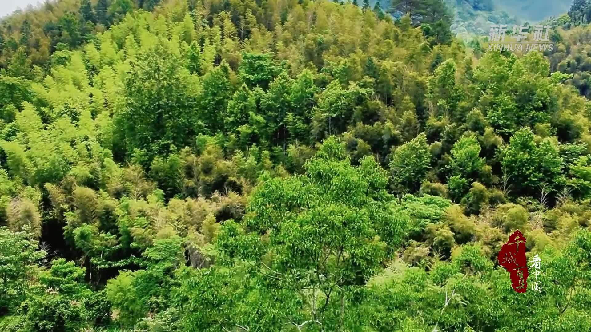 千城百县看中国｜寻闽味：端午粽子飘香