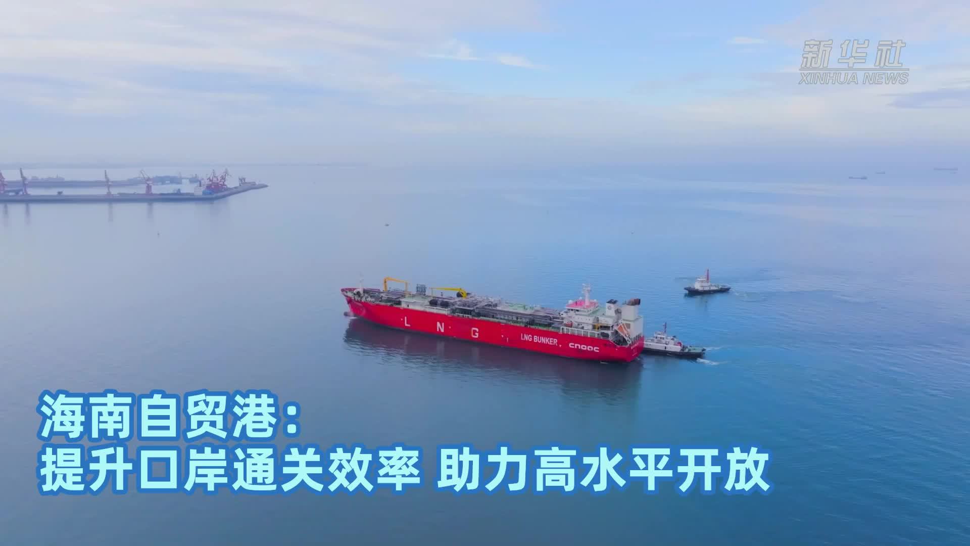 镜头微观察｜海南自贸港：提升口岸通关效率 助力高水平开放