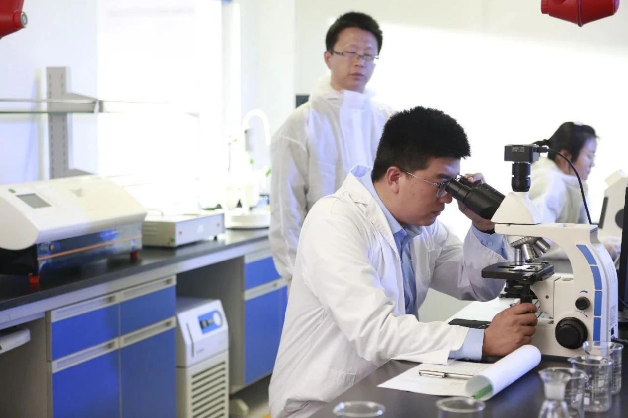 泉城非遗人、福胶集团总裁杨铧：AI赋能非遗传承与创新，让古法熬胶技艺在新时代焕发新光彩