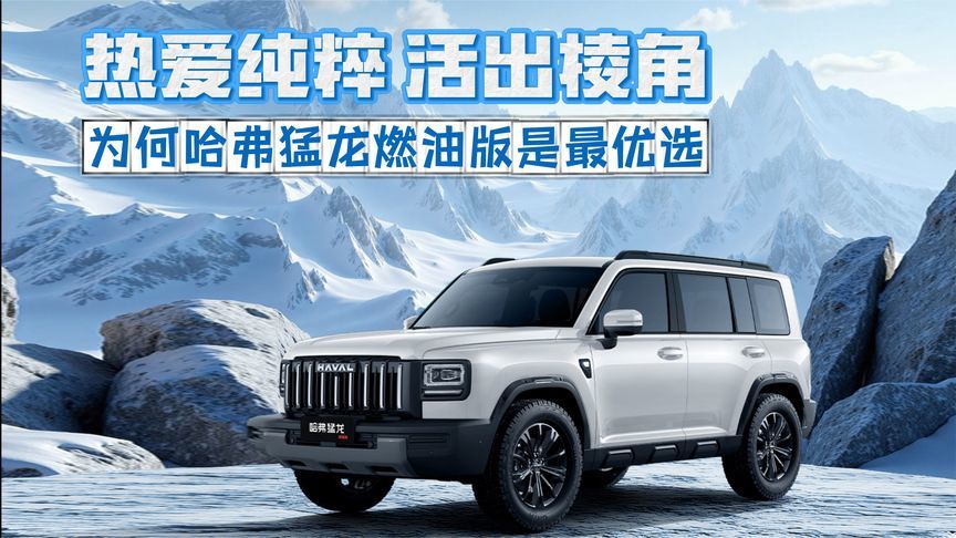 热爱纯粹 活出棱角 为何哈弗猛龙燃油版是最优选