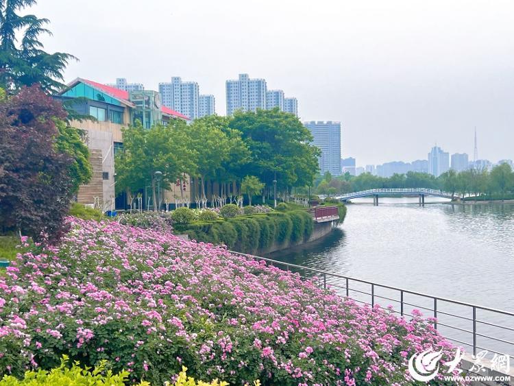 菏泽初夏的味道，都藏在这里
