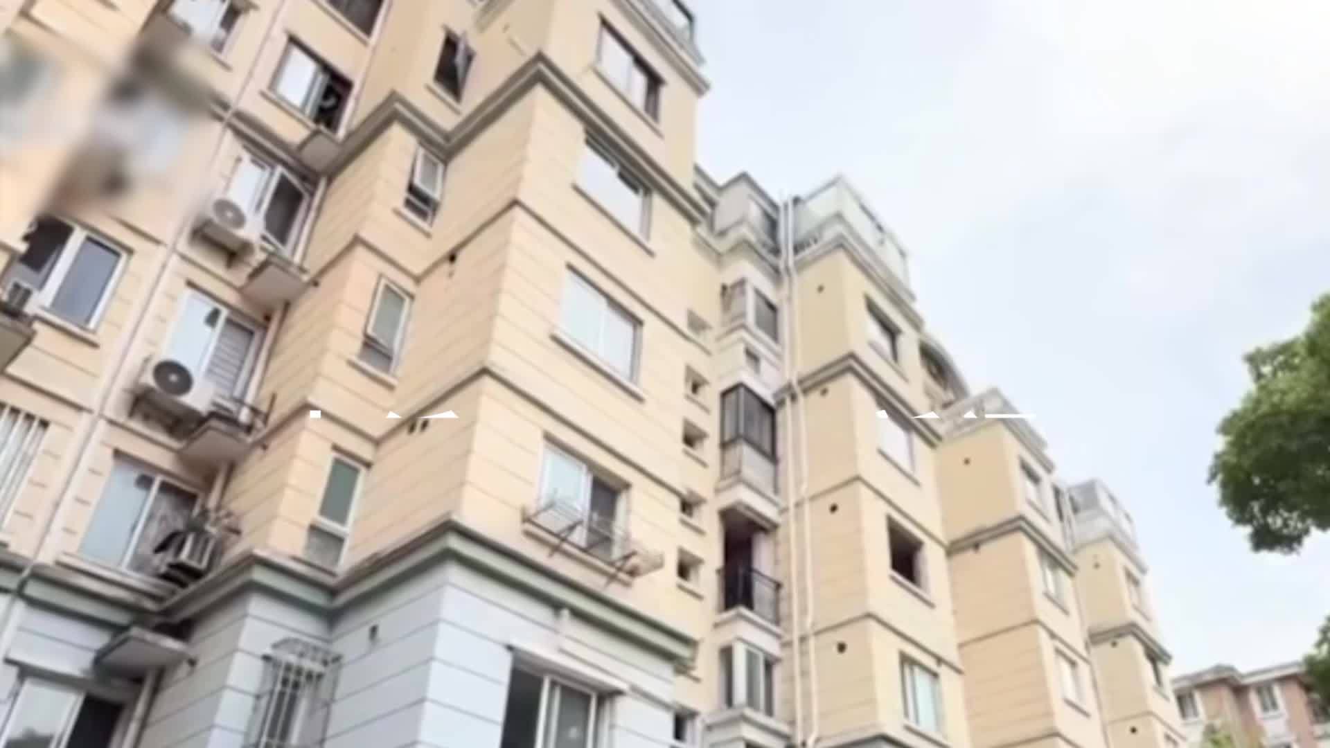 小区老人私自圈占公共绿化变私人花园2年，8旬老人砍掉20年香樟树：拿我怎么样？