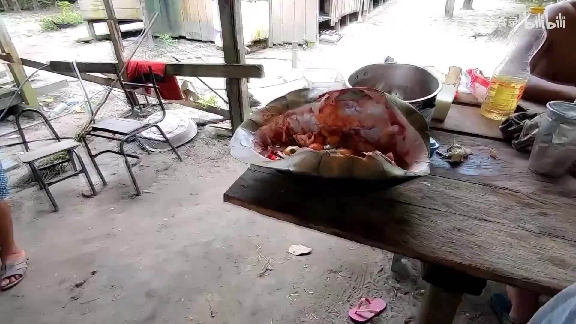 见识一下，巴西原住民吃大龟，龟壳当锅直接烹饪，开眼界了