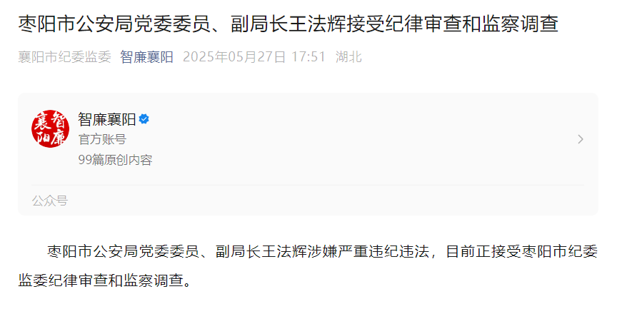 湖北两人被查