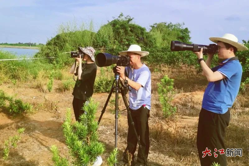 眾多鳥友齊聚永修觀鳥（圖源：九江永修發布）