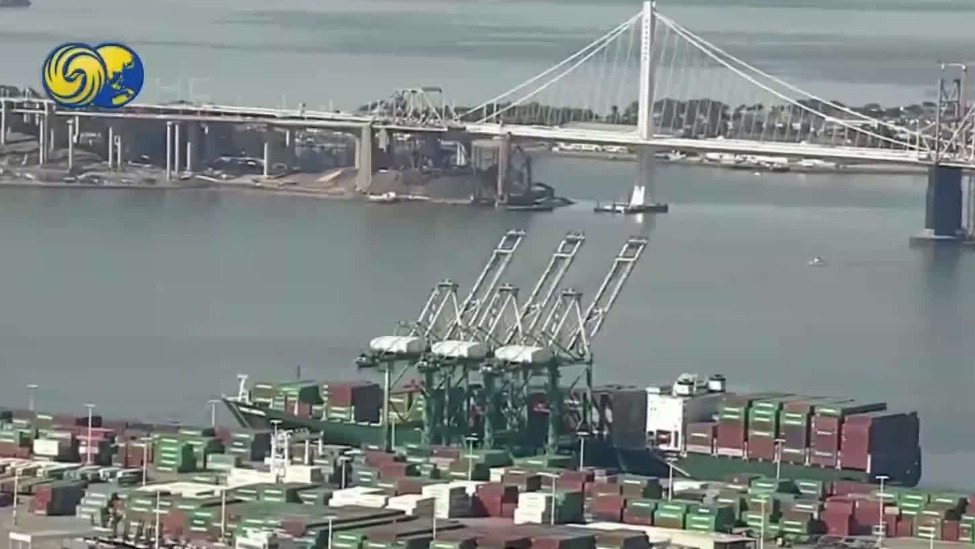 路透社：特朗普关税导致大企业损失逾340亿美元