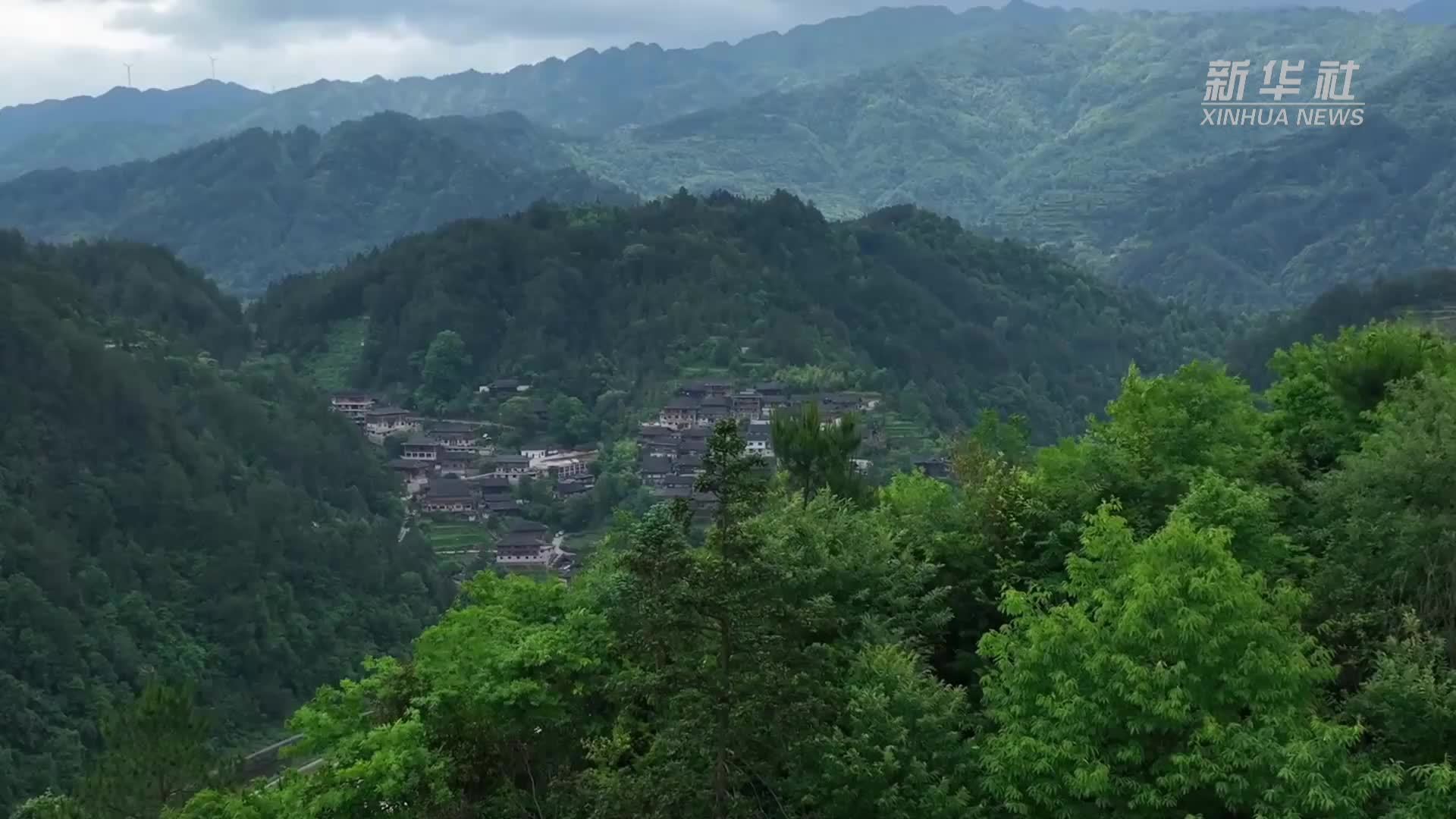 端午将至 贵州苗寨五彩粽飘香