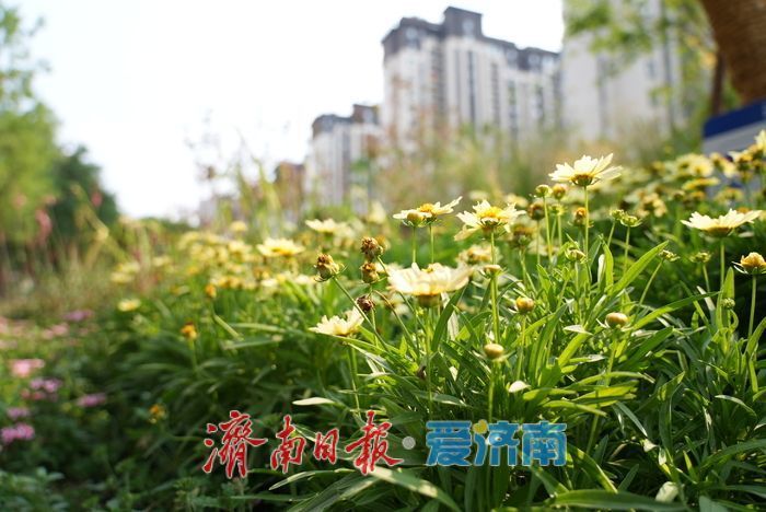 一年四季 泉在济南丨济南同心公园亮相，露营草坪解锁都市自然体验