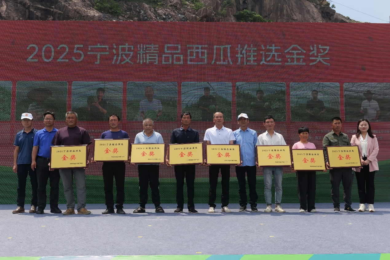 黄瓤还是红瓤？宁波这场西瓜擂台决出了“盛夏顶流”
