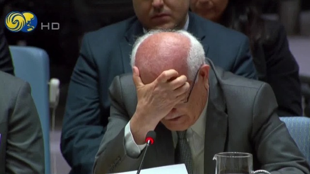 巴勒斯坦代表在安理会作报告，声泪俱下捶桌控诉