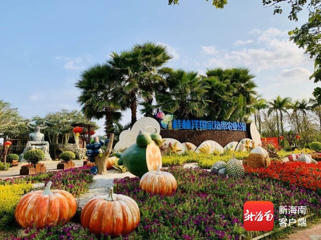 桂林洋国家热带农业公园。美兰区旅文局供图