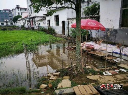 下雨过后房屋外侧大量积水。(受访人供图)