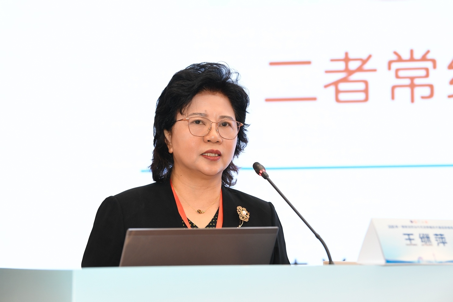 北京大学首钢医院王继萍致辞