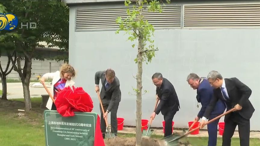 上海和科克市缔结友好城市20周年，科克市长冀更多开发中国市场