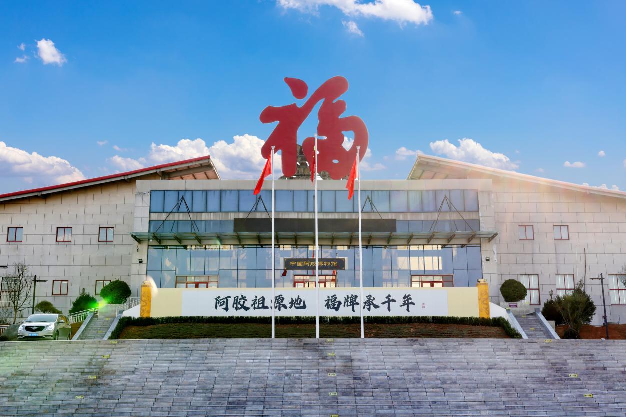 泉城非遗人、福胶集团总裁杨铧：AI赋能非遗传承与创新，让古法熬胶技艺在新时代焕发新光彩