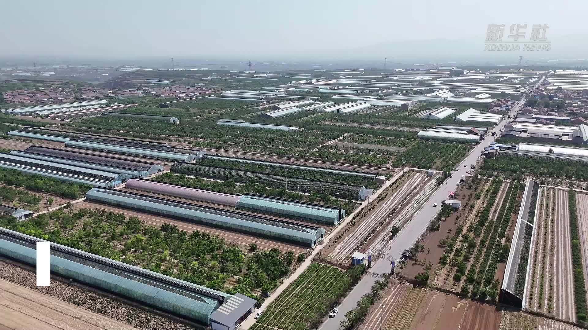 高铁助力山西樱桃直达内蒙古