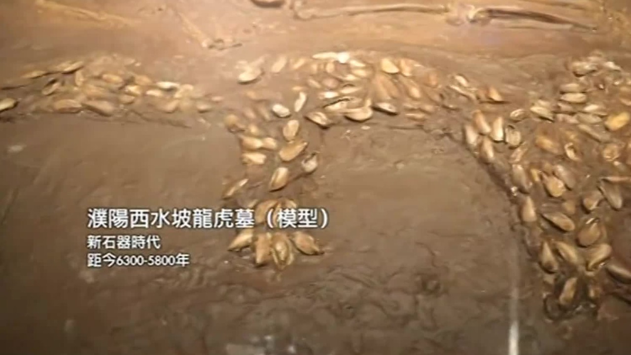 关于龙的起源，我们在新时代的中原找到答案