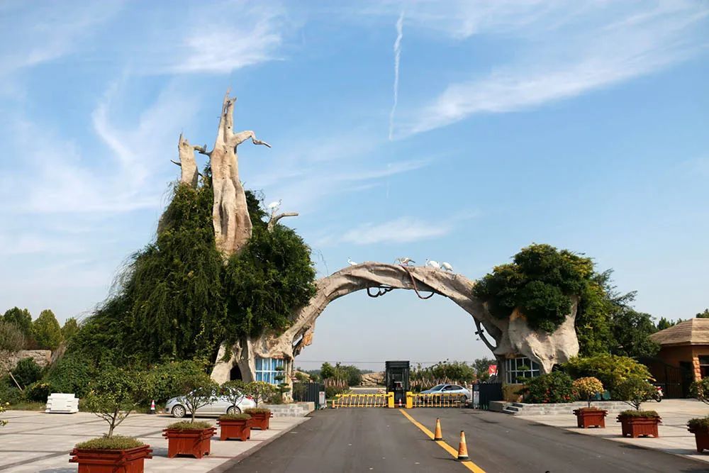 菏泽初夏的味道，都藏在这里