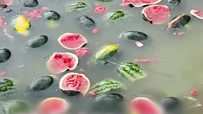 镇政府回应滞销西瓜被扔鱼塘：极个别瓜农的行为