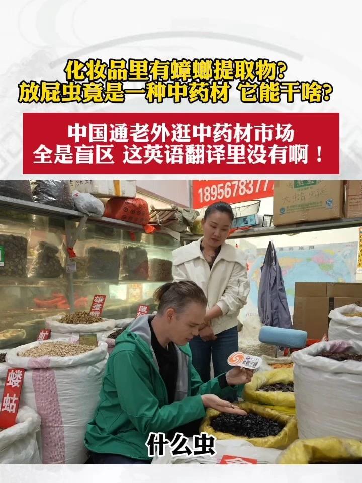 老外逛中药材市场全是盲区和“惊喜”，化妆品里有蟑螂提取物？放屁虫也能入药？#近观中国