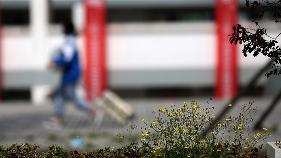 高中宿舍熄灯后讲话被罚“走读一周”，学校：只处罚个人，不存在“连坐”