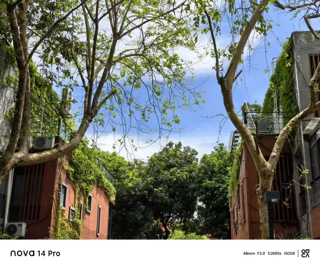 首款鸿蒙直板机,体验太炸裂了