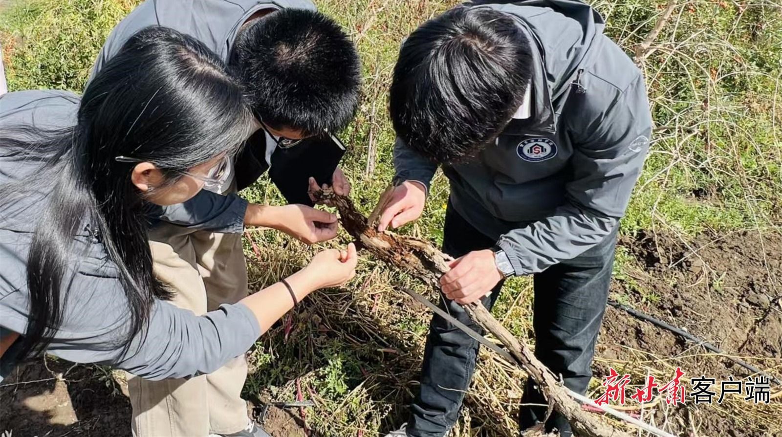 FZ100441112841_A5142340