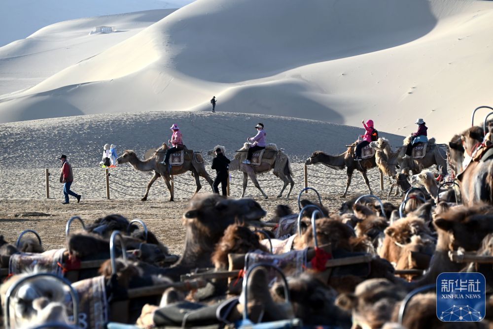 5月24日，游客骑骆驼在甘肃省敦煌市鸣沙山月牙泉景区游览。