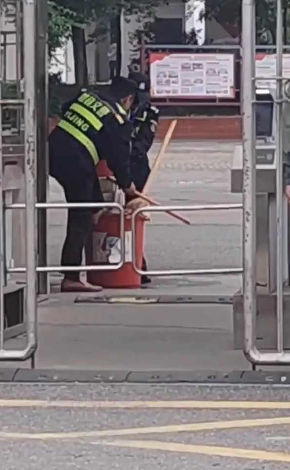 保安打流浪狗（视频截图）