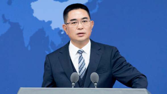 国台办：台湾网攻性质极其恶劣
