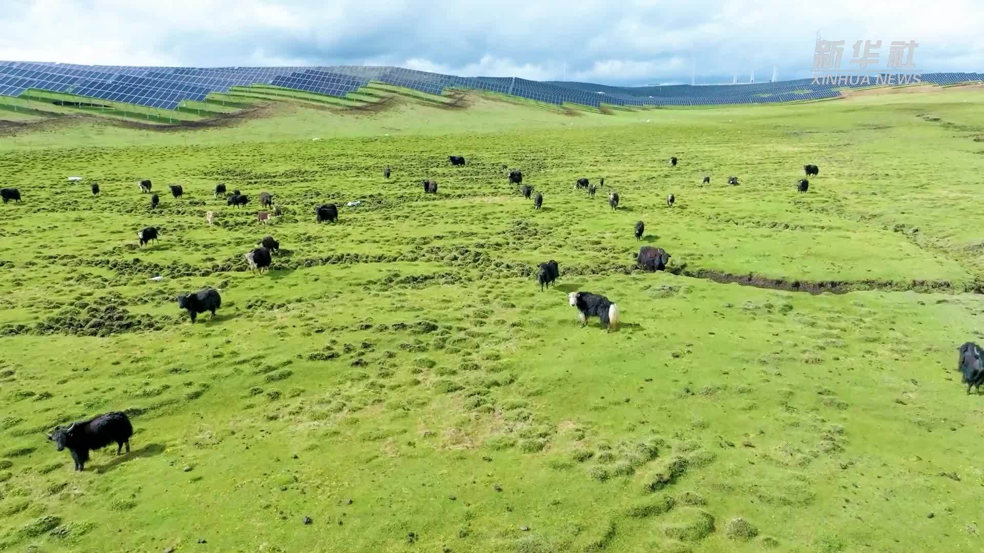 四川首个构网型储能电站实现全容量并网投产