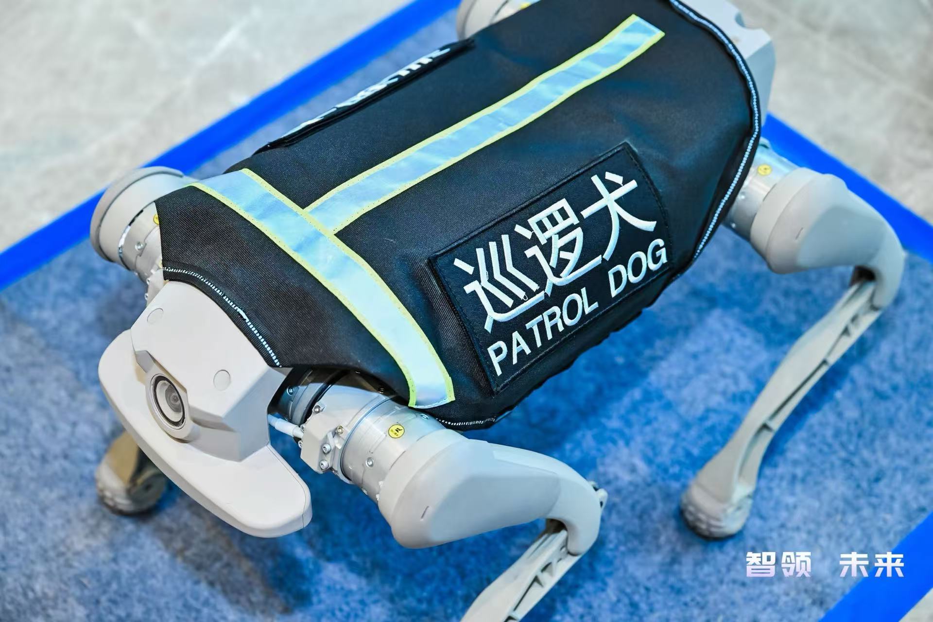 “头雁”担当 珠海加速布局人工智能与机器人产业新赛道