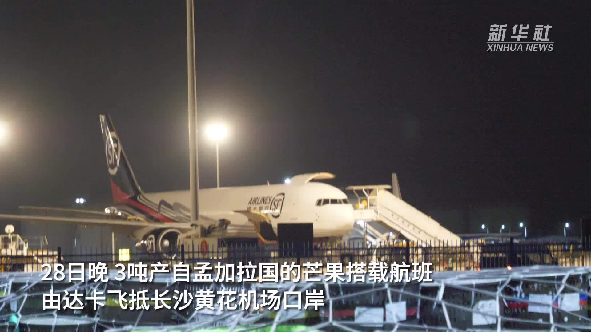 孟加拉芒果首次进入中国市场