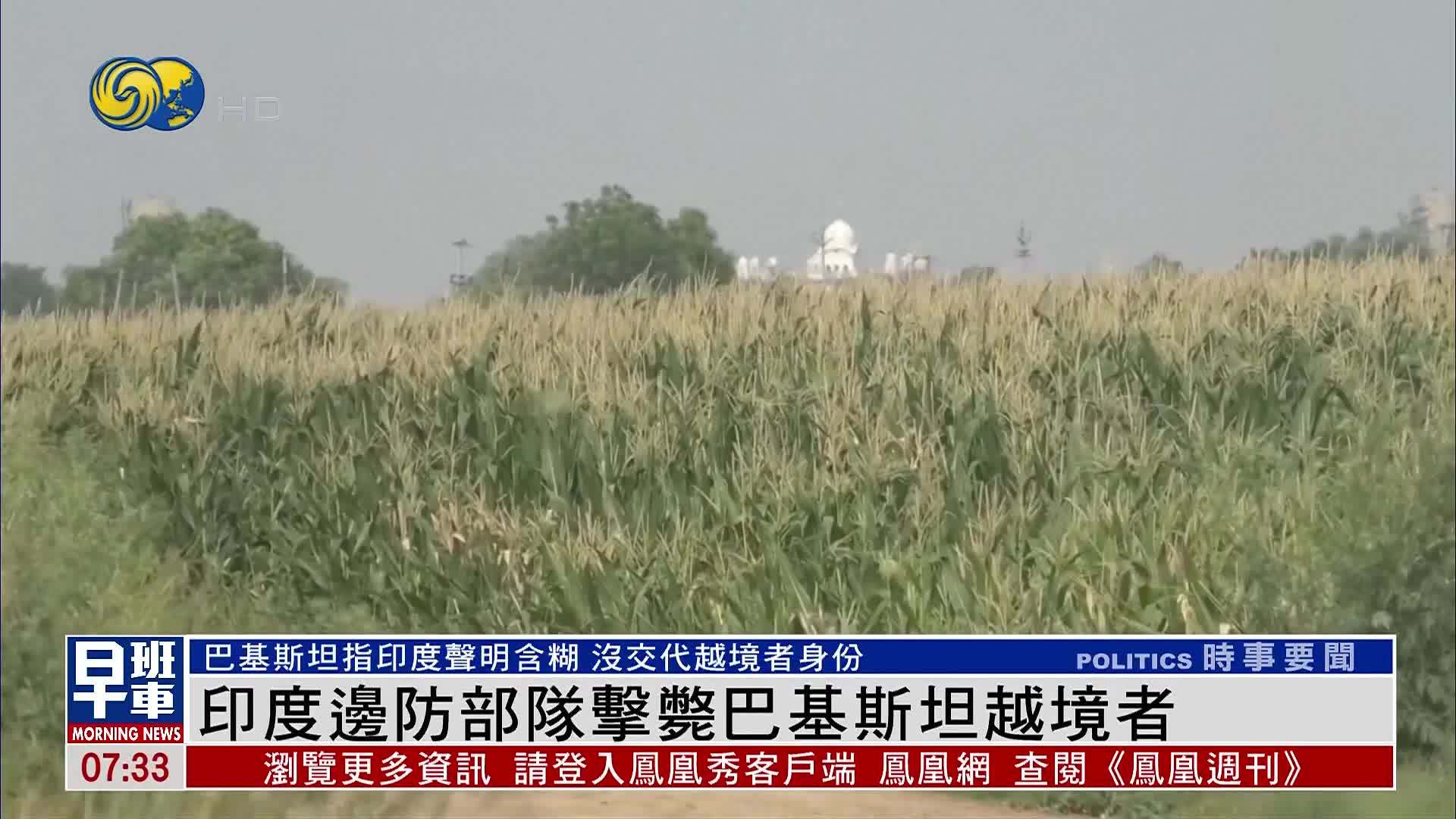 印度边防部队击毙巴基斯坦越境者