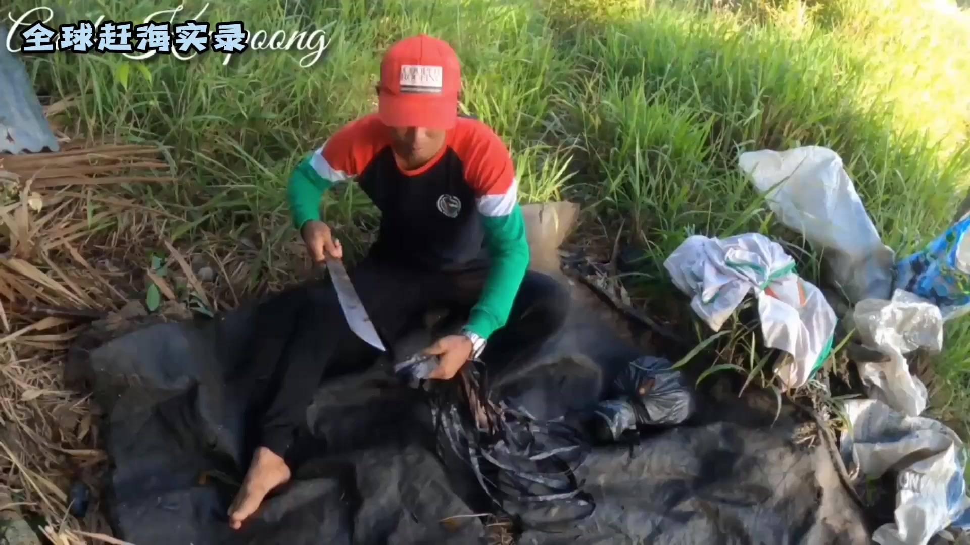 印尼抓陈年老黑蟹，青蟹长到三斤以上全身发黑，个头是相当凶猛