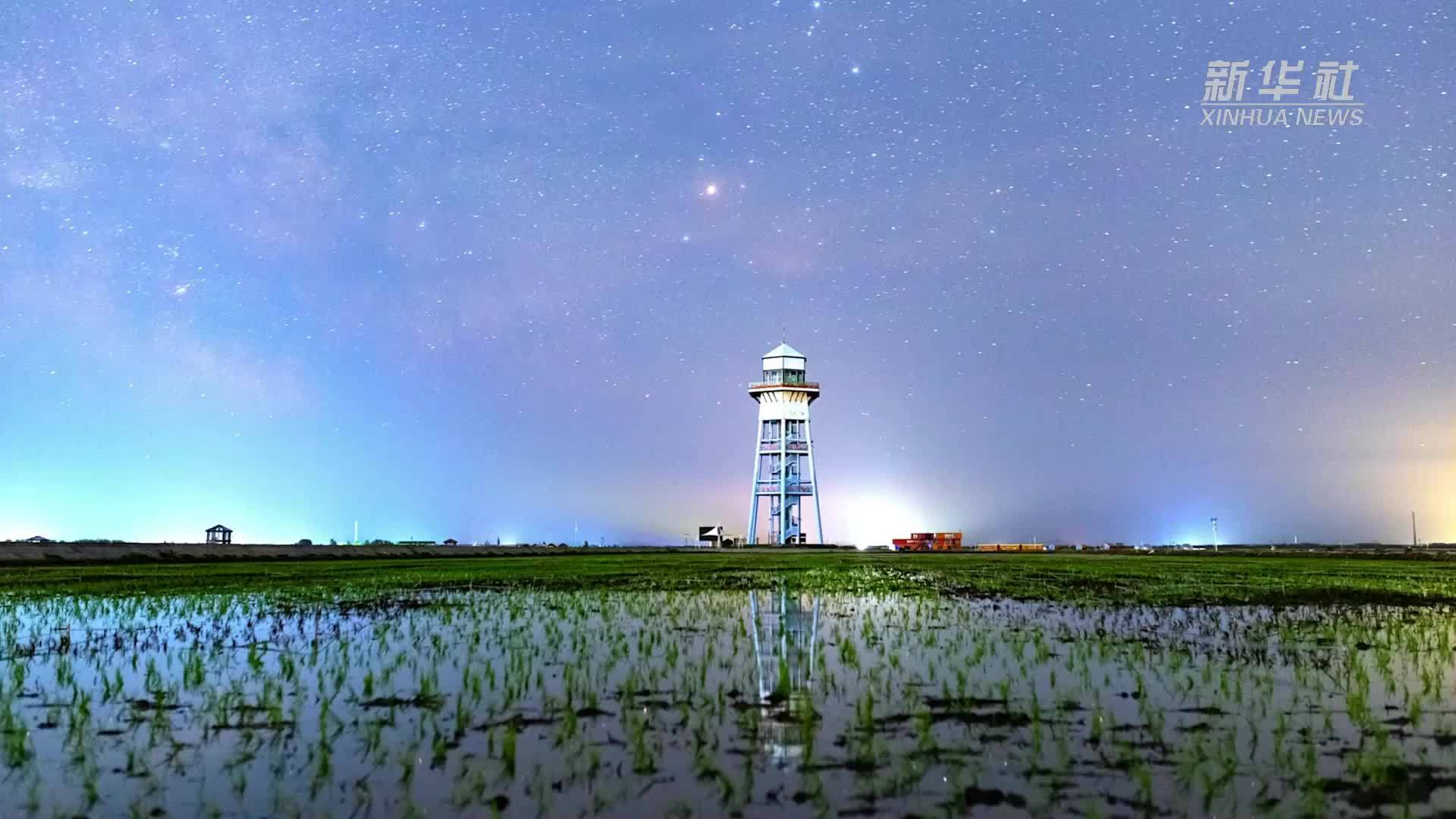 初夏“北大仓”：繁星瞩目，新禾可期