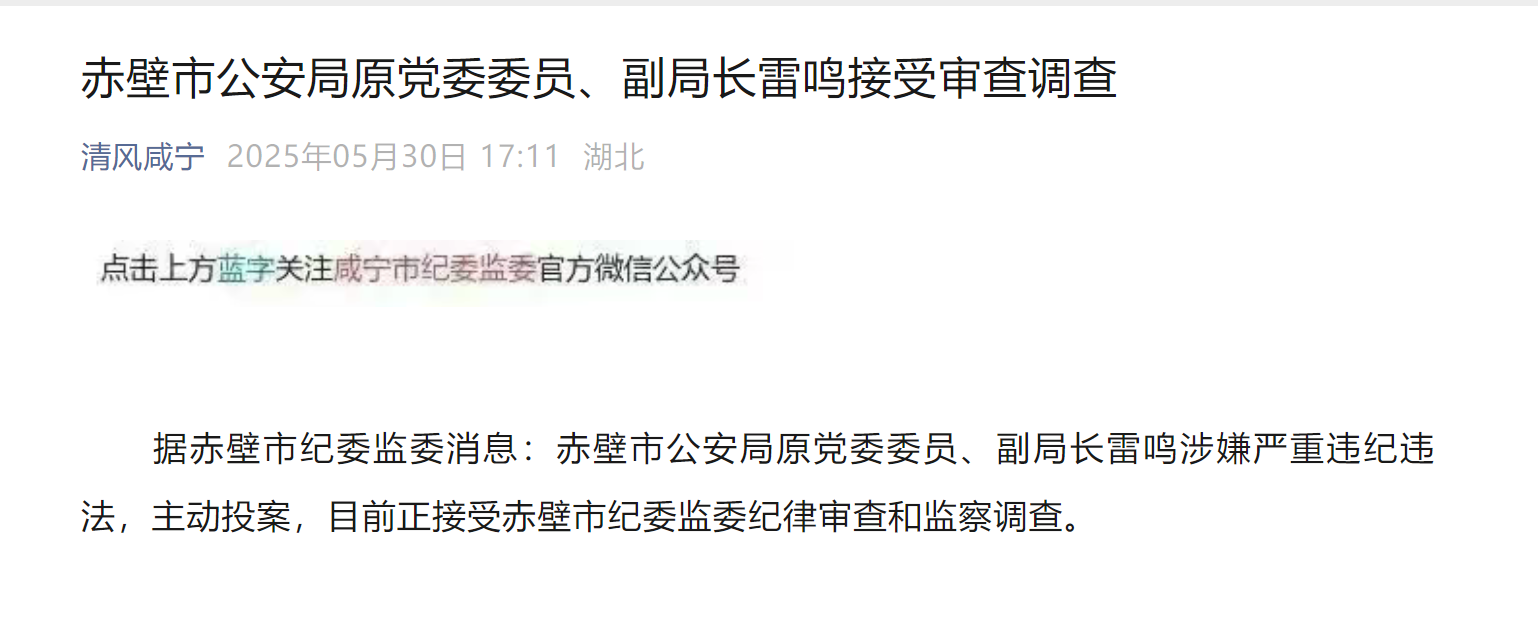 赤壁市公安局原党委委员、副局长雷鸣接受审查调查