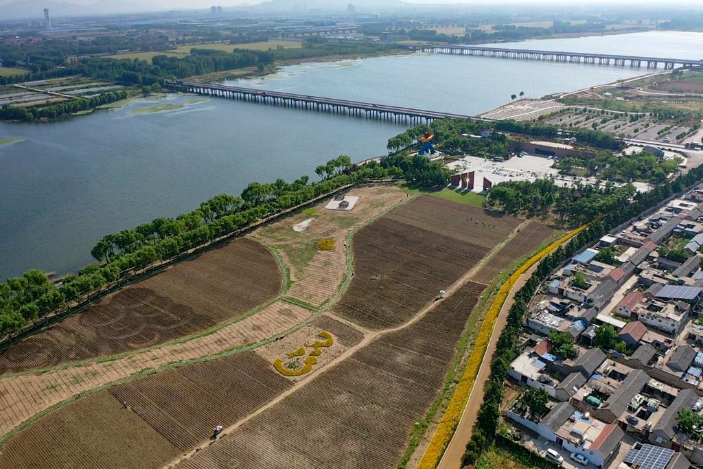 这是5月20日拍摄的大汶河（左上）、大汶口遗址博物馆（右上）和大汶口遗址核心区（左下）（无人机照片）。新华社记者 陈朔 摄