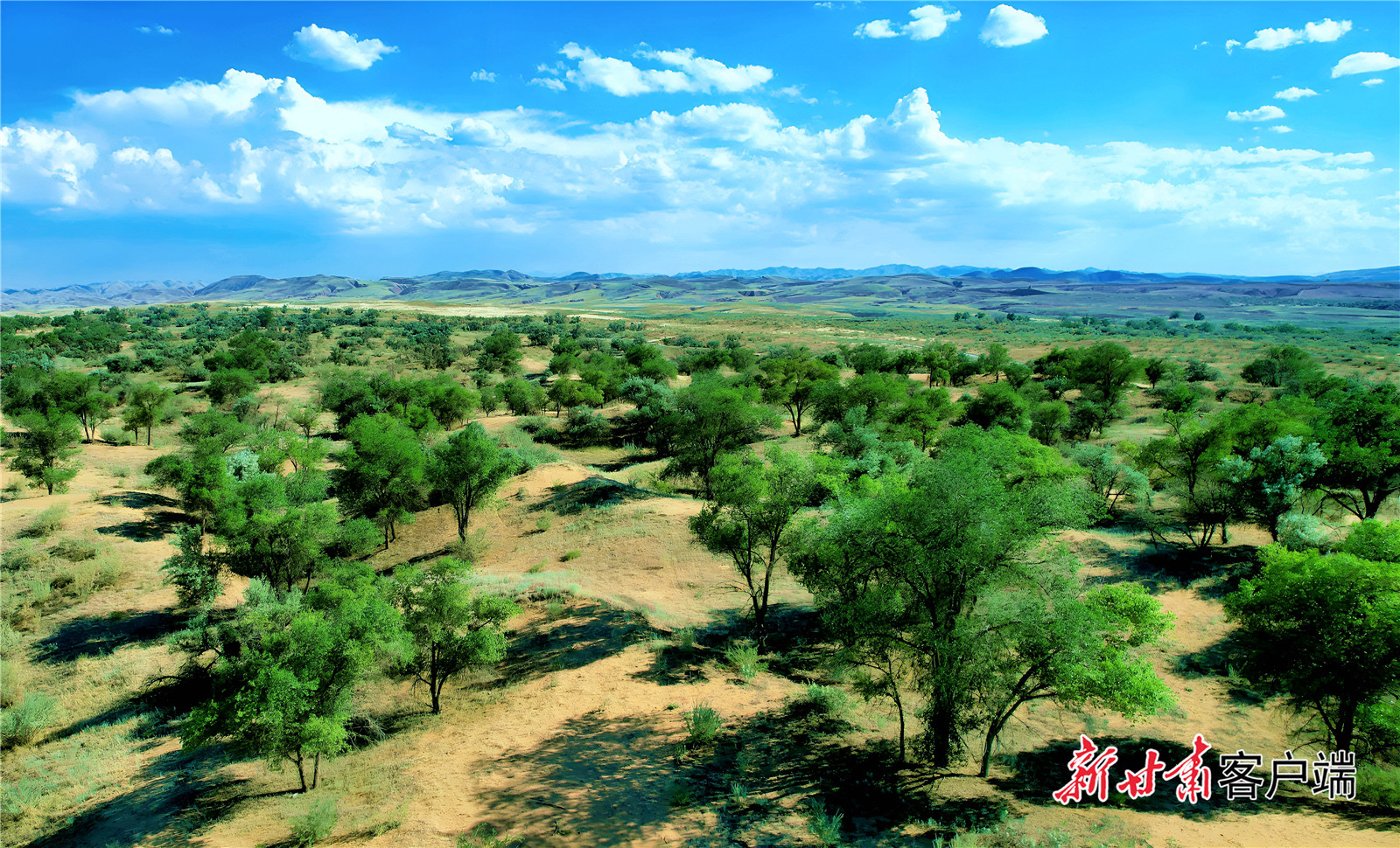 古浪县八步沙林场绿意盎然　新甘肃·甘肃日报记者　金奉乾　摄