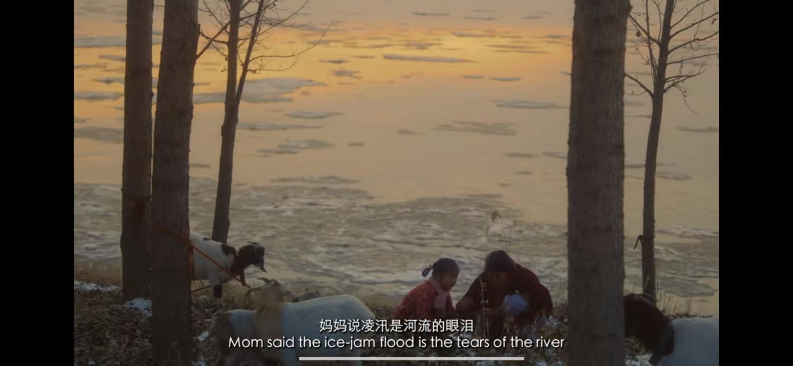 这两部斯莫格奖金奖短片，让奥斯卡评委看到对话与理解的可能