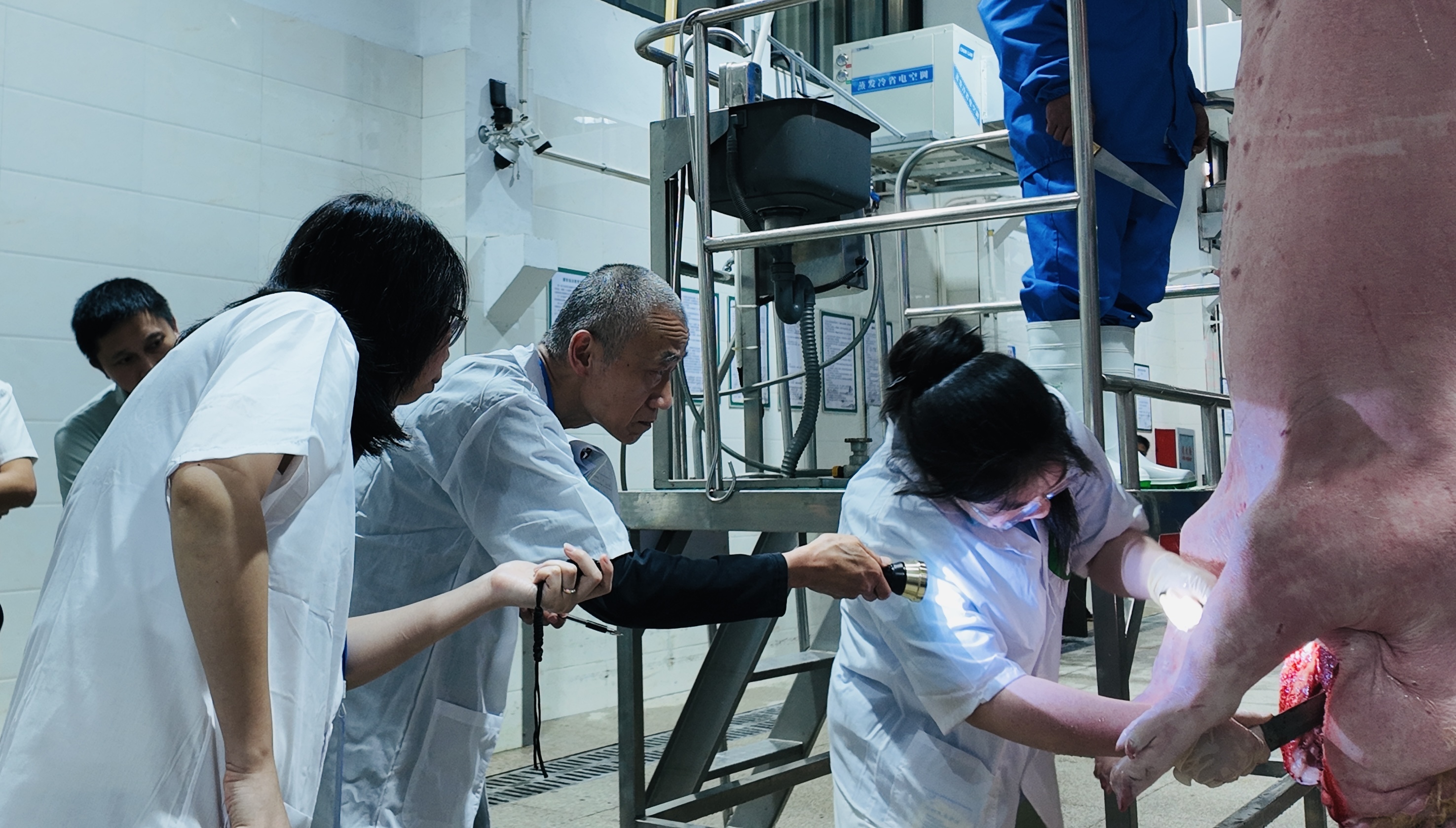 以赛为媒，锻造新时代检疫精兵！2025年宁波市动物检疫检验员职业技能群英赛圆满落幕