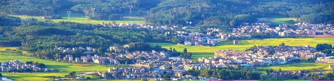 古墟焕新颜 沃野兴产业 开平市月山镇绘就乡村振兴新图景
