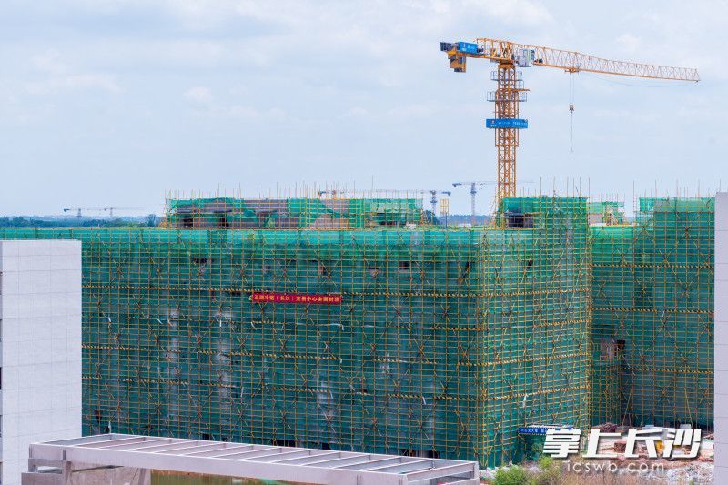 施工现场。均为长沙晚报通讯员 李丹 供图。